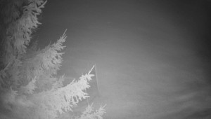 Letiště Třebíč - Pohled na východ - 7.12.2025 v 00:00 Letiště Třebíč - Pohled na východ - 7.12.2025 v 00:00