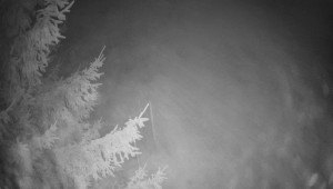 Letiště Třebíč - Pohled na východ - 7.12.2025 v 00:45 Letiště Třebíč - Pohled na východ - 7.12.2025 v 00:45