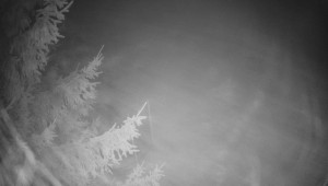 Letiště Třebíč - Pohled na východ - 7.12.2025 v 01:30 Letiště Třebíč - Pohled na východ - 7.12.2025 v 01:30