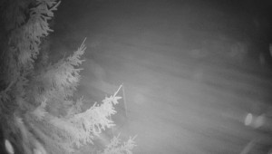 Letiště Třebíč - Pohled na východ - 7.12.2025 v 01:45 Letiště Třebíč - Pohled na východ - 7.12.2025 v 01:45