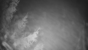 Letiště Třebíč - Pohled na východ - 7.12.2025 v 02:15 Letiště Třebíč - Pohled na východ - 7.12.2025 v 02:15