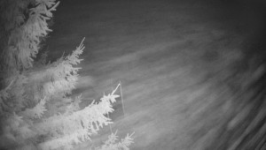 Letiště Třebíč - Pohled na východ - 7.12.2025 v 02:30 Letiště Třebíč - Pohled na východ - 7.12.2025 v 02:30