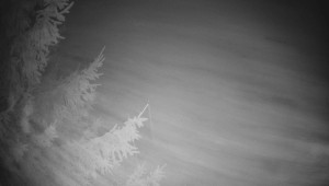 Letiště Třebíč - Pohled na východ - 7.12.2025 v 03:00 Letiště Třebíč - Pohled na východ - 7.12.2025 v 03:00