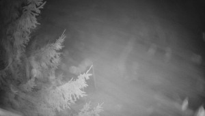 Letiště Třebíč - Pohled na východ - 7.12.2025 v 04:00 Letiště Třebíč - Pohled na východ - 7.12.2025 v 04:00