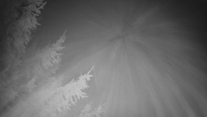 Letiště Třebíč - Pohled na východ - 7.12.2025 v 05:00 Letiště Třebíč - Pohled na východ - 7.12.2025 v 05:00