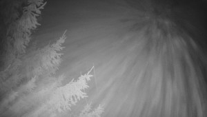 Letiště Třebíč - Pohled na východ - 7.12.2025 v 05:15 Letiště Třebíč - Pohled na východ - 7.12.2025 v 05:15