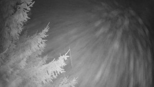 Letiště Třebíč - Pohled na východ - 7.12.2025 v 05:30 Letiště Třebíč - Pohled na východ - 7.12.2025 v 05:30