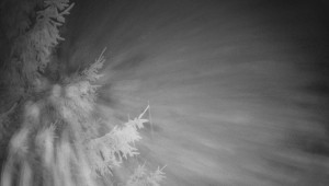 Letiště Třebíč - Pohled na východ - 7.12.2025 v 05:45 Letiště Třebíč - Pohled na východ - 7.12.2025 v 05:45