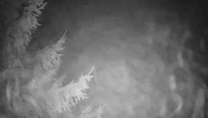 Letiště Třebíč - Pohled na východ - 7.12.2025 v 06:00 Letiště Třebíč - Pohled na východ - 7.12.2025 v 06:00