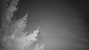 Letiště Třebíč - Pohled na východ - 7.12.2025 v 17:15 Letiště Třebíč - Pohled na východ - 7.12.2025 v 17:15