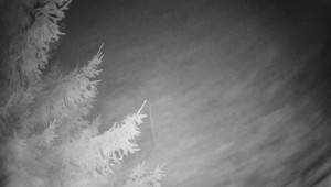 Letiště Třebíč - Pohled na východ - 7.12.2025 v 18:00 Letiště Třebíč - Pohled na východ - 7.12.2025 v 18:00