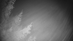 Letiště Třebíč - Pohled na východ - 7.12.2025 v 18:30 Letiště Třebíč - Pohled na východ - 7.12.2025 v 18:30