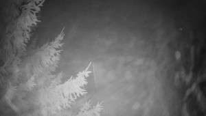 Letiště Třebíč - Pohled na východ - 7.12.2025 v 19:00 Letiště Třebíč - Pohled na východ - 7.12.2025 v 19:00