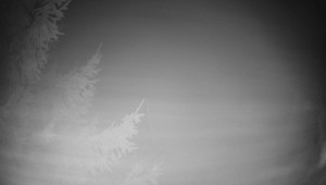 Letiště Třebíč - Pohled na východ - 7.12.2025 v 19:30 Letiště Třebíč - Pohled na východ - 7.12.2025 v 19:30