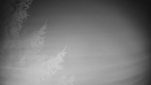 Letiště Třebíč - Pohled na východ - 7.12.2025 v 19:45 Letiště Třebíč - Pohled na východ - 7.12.2025 v 19:45