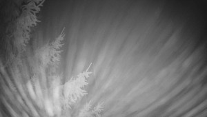 Letiště Třebíč - Pohled na východ - 7.12.2025 v 20:15 Letiště Třebíč - Pohled na východ - 7.12.2025 v 20:15