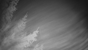 Letiště Třebíč - Pohled na východ - 7.12.2025 v 21:45 Letiště Třebíč - Pohled na východ - 7.12.2025 v 21:45