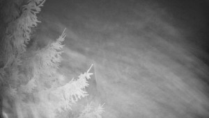 Letiště Třebíč - Pohled na východ - 7.12.2025 v 23:30 Letiště Třebíč - Pohled na východ - 7.12.2025 v 23:30