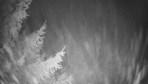 Letiště Třebíč - Pohled na východ - 7.12.2025 v 23:45 Letiště Třebíč - Pohled na východ - 7.12.2025 v 23:45