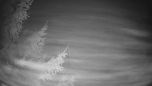 Letiště Třebíč - Pohled na východ - 13.12.2025 v 00:00 Letiště Třebíč - Pohled na východ - 13.12.2025 v 00:00