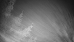 Letiště Třebíč - Pohled na východ - 13.12.2025 v 00:30 Letiště Třebíč - Pohled na východ - 13.12.2025 v 00:30