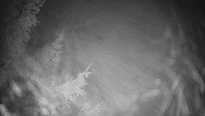 Letiště Třebíč - Pohled na východ - 13.12.2025 v 01:00 Letiště Třebíč - Pohled na východ - 13.12.2025 v 01:00