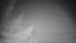 Letiště Třebíč - Pohled na východ - 13.12.2025 v 01:45 Letiště Třebíč - Pohled na východ - 13.12.2025 v 01:45