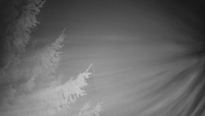 Letiště Třebíč - Pohled na východ - 13.12.2025 v 02:00 Letiště Třebíč - Pohled na východ - 13.12.2025 v 02:00