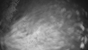 Letiště Třebíč - Pohled na východ - 13.12.2025 v 03:00 Letiště Třebíč - Pohled na východ - 13.12.2025 v 03:00