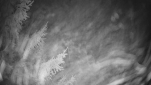 Letiště Třebíč - Pohled na východ - 13.12.2025 v 03:30 Letiště Třebíč - Pohled na východ - 13.12.2025 v 03:30