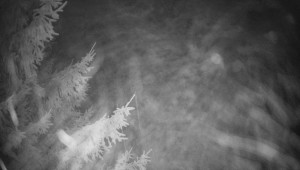 Letiště Třebíč - Pohled na východ - 13.12.2025 v 03:45 Letiště Třebíč - Pohled na východ - 13.12.2025 v 03:45