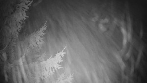 Letiště Třebíč - Pohled na východ - 13.12.2025 v 04:00 Letiště Třebíč - Pohled na východ - 13.12.2025 v 04:00