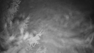 Letiště Třebíč - Pohled na východ - 13.12.2025 v 04:45 Letiště Třebíč - Pohled na východ - 13.12.2025 v 04:45