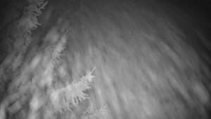 Letiště Třebíč - Pohled na východ - 13.12.2025 v 05:00 Letiště Třebíč - Pohled na východ - 13.12.2025 v 05:00