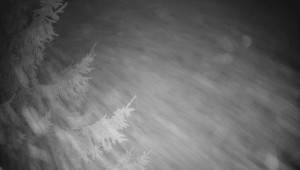 Letiště Třebíč - Pohled na východ - 13.12.2025 v 05:45 Letiště Třebíč - Pohled na východ - 13.12.2025 v 05:45