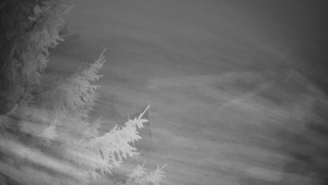 Letiště Třebíč - Pohled na východ - 13.12.2025 v 07:00 Letiště Třebíč - Pohled na východ - 13.12.2025 v 07:00