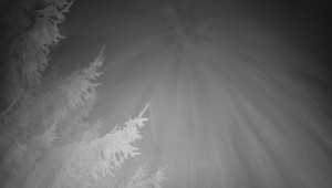 Letiště Třebíč - Pohled na východ - 13.12.2025 v 17:00 Letiště Třebíč - Pohled na východ - 13.12.2025 v 17:00