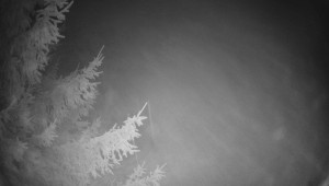 Letiště Třebíč - Pohled na východ - 13.12.2025 v 20:00 Letiště Třebíč - Pohled na východ - 13.12.2025 v 20:00