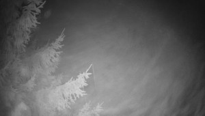 Letiště Třebíč - Pohled na východ - 13.12.2025 v 21:00 Letiště Třebíč - Pohled na východ - 13.12.2025 v 21:00