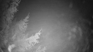 Letiště Třebíč - Pohled na východ - 13.12.2025 v 21:30 Letiště Třebíč - Pohled na východ - 13.12.2025 v 21:30