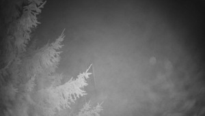 Letiště Třebíč - Pohled na východ - 13.12.2025 v 22:00 Letiště Třebíč - Pohled na východ - 13.12.2025 v 22:00