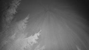 Letiště Třebíč - Pohled na východ - 15.12.2025 v 00:00 Letiště Třebíč - Pohled na východ - 15.12.2025 v 00:00