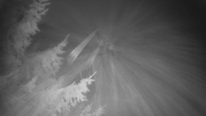 Letiště Třebíč - Pohled na východ - 15.12.2025 v 01:30 Letiště Třebíč - Pohled na východ - 15.12.2025 v 01:30