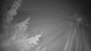 Letiště Třebíč - Pohled na východ - 15.12.2025 v 02:15 Letiště Třebíč - Pohled na východ - 15.12.2025 v 02:15