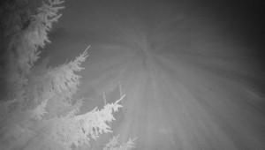 Letiště Třebíč - Pohled na východ - 15.12.2025 v 02:30 Letiště Třebíč - Pohled na východ - 15.12.2025 v 02:30