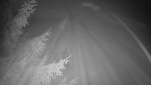 Letiště Třebíč - Pohled na východ - 15.12.2025 v 03:15 Letiště Třebíč - Pohled na východ - 15.12.2025 v 03:15