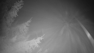 Letiště Třebíč - Pohled na východ - 15.12.2025 v 03:45 Letiště Třebíč - Pohled na východ - 15.12.2025 v 03:45