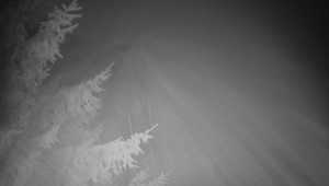 Letiště Třebíč - Pohled na východ - 15.12.2025 v 04:00 Letiště Třebíč - Pohled na východ - 15.12.2025 v 04:00