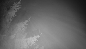 Letiště Třebíč - Pohled na východ - 15.12.2025 v 04:45 Letiště Třebíč - Pohled na východ - 15.12.2025 v 04:45