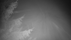 Letiště Třebíč - Pohled na východ - 15.12.2025 v 05:30 Letiště Třebíč - Pohled na východ - 15.12.2025 v 05:30